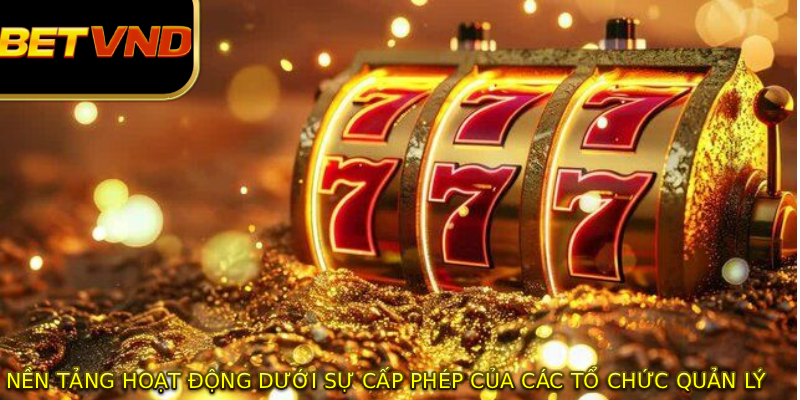 Nền tảng hoạt động dưới sự cấp phép của các tổ chức quản lý