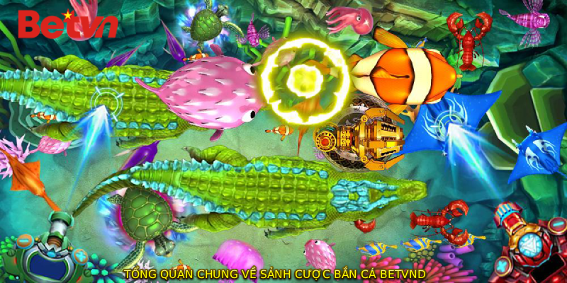 Tổng quan chung về sảnh cược bắn cá BETVND