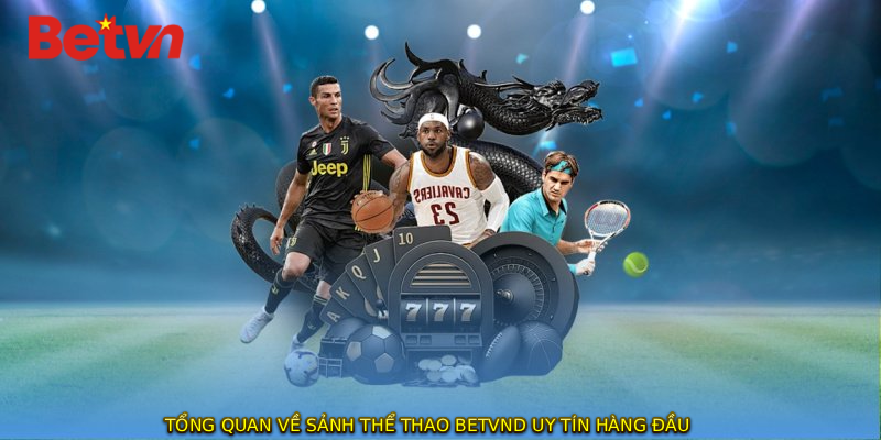 Tổng quan về sảnh thể thao BETVND uy tín hàng đầu